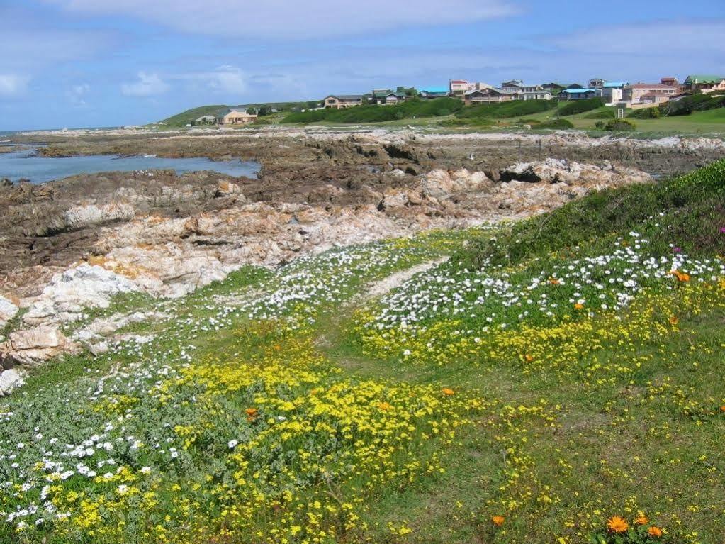 Aire Del Mar Guest House Kleinbaai Екстер'єр фото